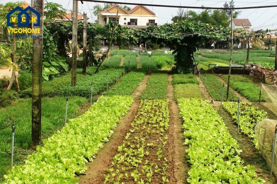 mục đích sử dụng của đất vườn